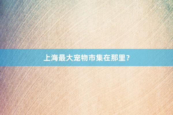 上海最大宠物市集在那里？