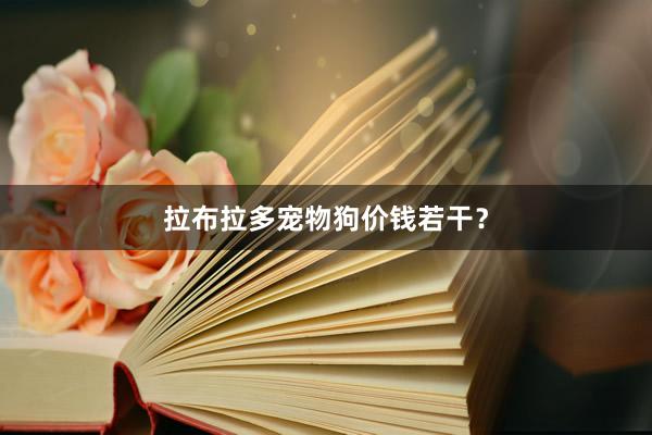 拉布拉多宠物狗价钱若干？