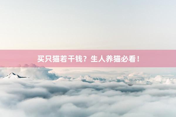 买只猫若干钱？生人养猫必看！