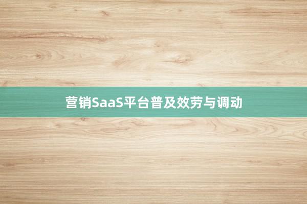 营销SaaS平台普及效劳与调动